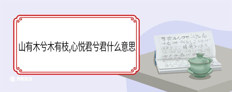 山有木兮木有枝心悦君兮君什么意思