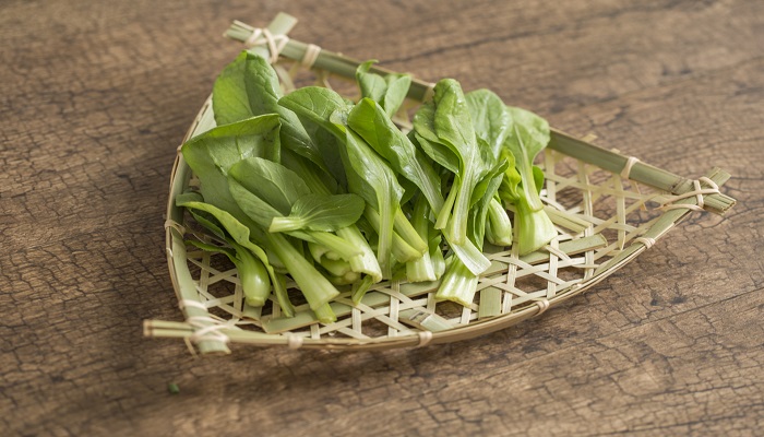 鸡毛菜和上海青的区别