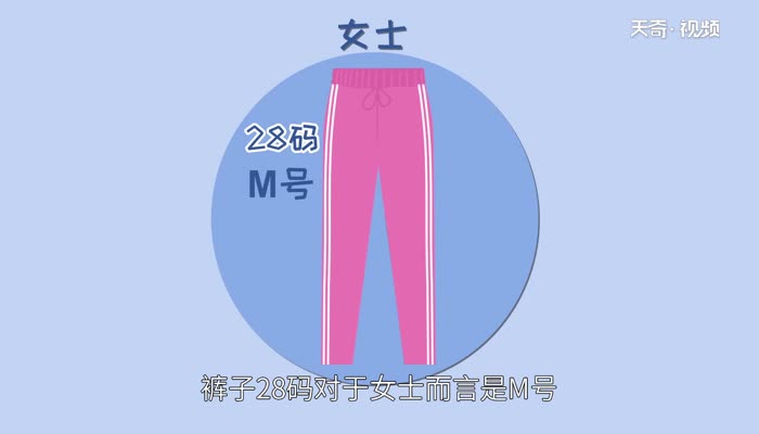 裤子28码是m码还是l码 28码的裤子有多长