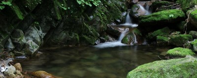 柳宗元写小石潭记的写作背景